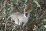 safrica_dec_13_image82.jpg